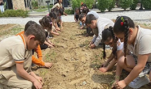 Efes Selçuklu Çocuklar Fideleri Toprakla Buluşturuyor