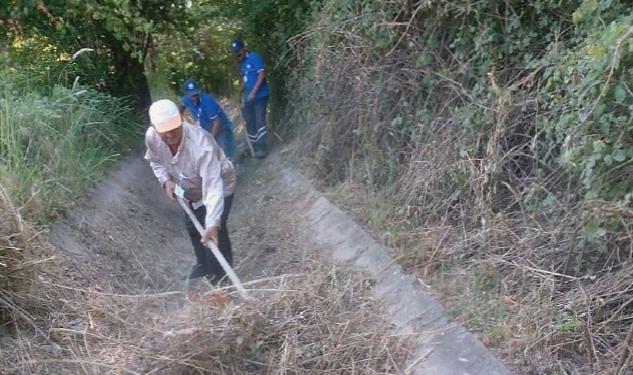 Muğla Büyükşehir’den Muğla Tarımına Destek