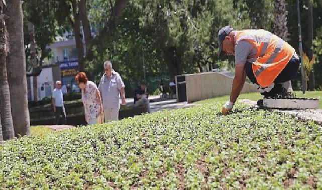 Antalya bu yaz çiçek bahçesine dönecek