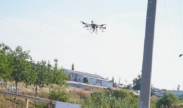 Ayvalık’ta dronların hedefinde sinekler var