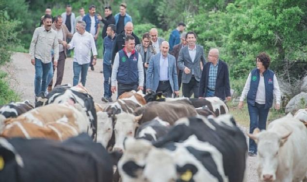 Bergama’da yayla yolculuğu başladı