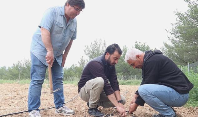 Bornova Kınalı Bamyası’na koruma kalkanı