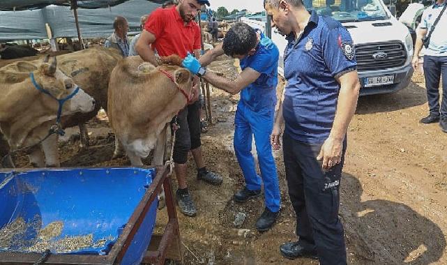 Buca Belediyesi’nde Kurban Bayramı mesaisi