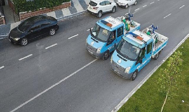 Buca’da sivrisineklere karşı ilaçlama başladı