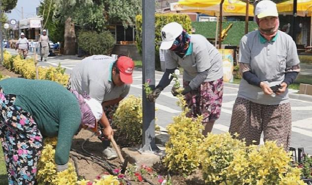 Burhaniye Çiçeklerle Renkleniyor