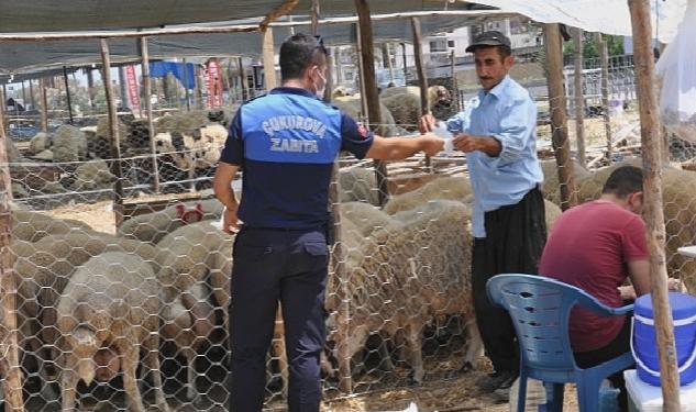 Çukurova kurban satış yerleri