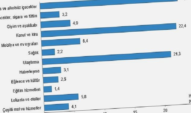 Hanehalkı bütçesinden en fazla pay gıda ve alkolsüz içecek harcamasına ayrıldı