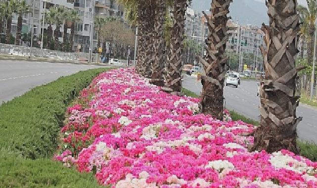 İzmir çiçek açtı