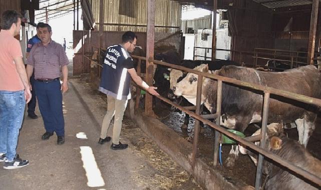 Kartepe’de kurban satışını sıkı denetim 