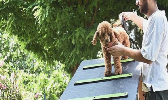 Kemalpaşa Belediyesi can dostlar için ilçenin ilk köpek parkını kurdu