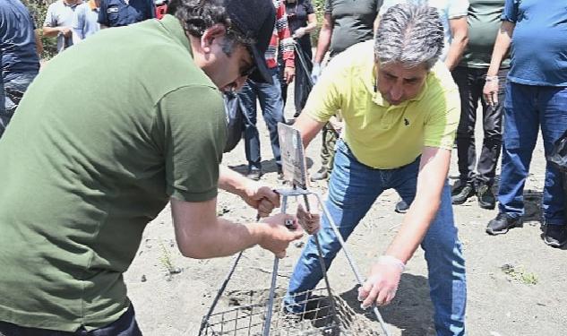 Kemer’de “Caretta caretta ilk yuva” etkinliği yapıldı