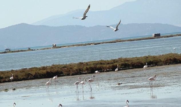 Kuş Cenneti’ne anjiyo: 40 km yatak temizlenecek