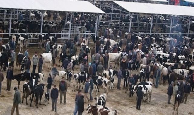 Ödemiş’te kurban satış ve kurban kesim yerleri belli oldu