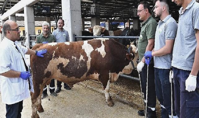 Osmangazi’de kurban yakalama timleri göreve hazır