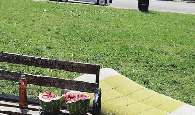 Parkta üzücü görüntüler: Şehir magandaları yine zarar verdi