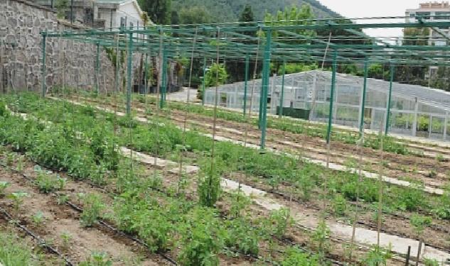 Tugay “Yerel tohumları koruyor ve toprakla buluşturuyoruz”