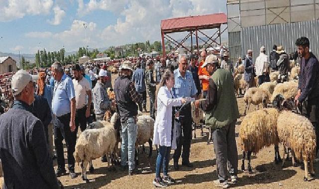 Van Büyükşehir Belediyesi canlı hayvan pazarında bilgilendirme yaptı