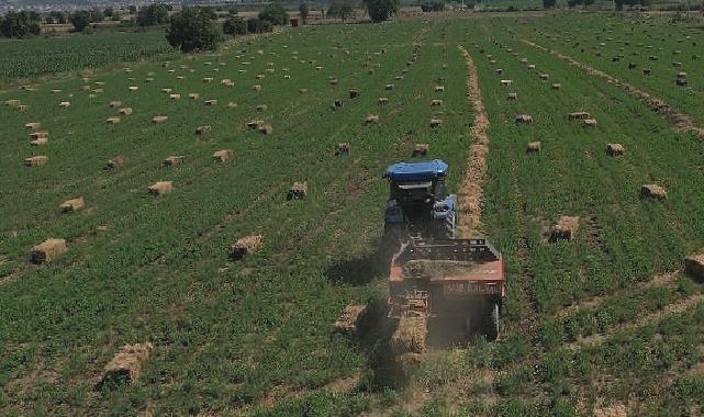 434 Dekar Araziden Elde Edilen Kaba Yem Üreticiye Dağıtılacak