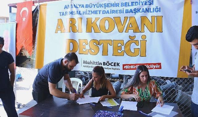 Antalya Büyükşehir’den üreticilere kovan desteği