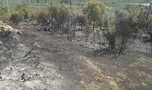 Aydın Büyükşehir Belediyesi İtfaiyesi yangına hızla müdahale etti