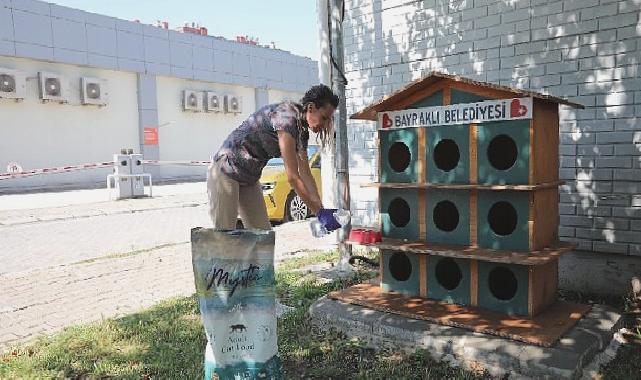 Bayraklı’da can dostlar için ‘bir kap su’ kampanyası