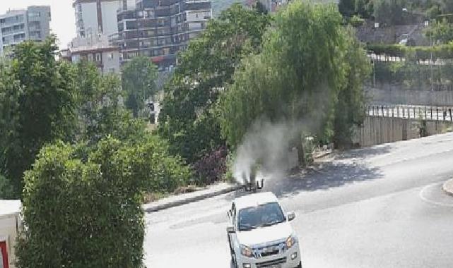 Bayraklı’da ‘ilaçlama’ seferberliği