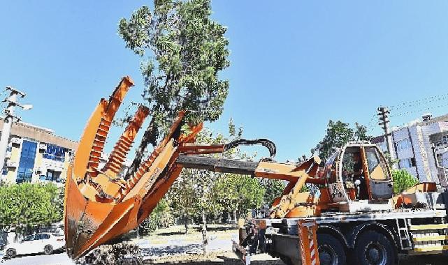 Buca Metrosu’nda istasyon inşaatları öncesinde ağaçlar geçici olarak taşınıyor