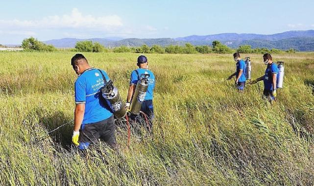 Büyükşehir Vektörle Mücadelede Tüm Birimleri ile Sahada