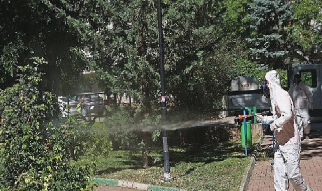 Çankaya parklarına yaz bakımı