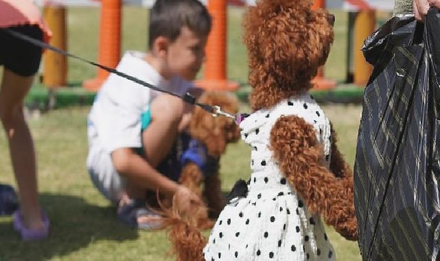 Çeşmeli can dostlar Fest Pati’de buluştu