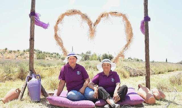 Didim’in Mis Kokulu Lavanta Festivaline sayılı günler kaldı