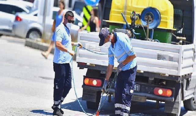 İklim krizi sivrisinek popülasyonunu artırdı