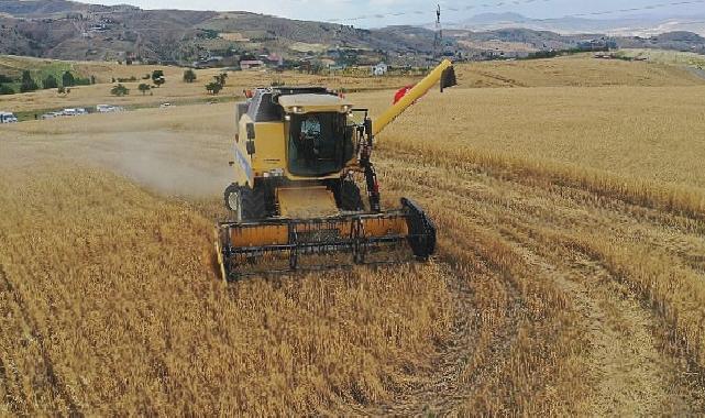 İlk hasadı Başkan Altınok yaptı