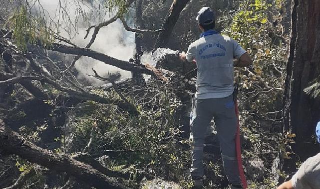 Kemer’deki orman yangınına müdahale sürüyor