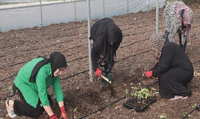 Kocaeli Büyükşehir’den kadın girişimcilere tarımsal destek