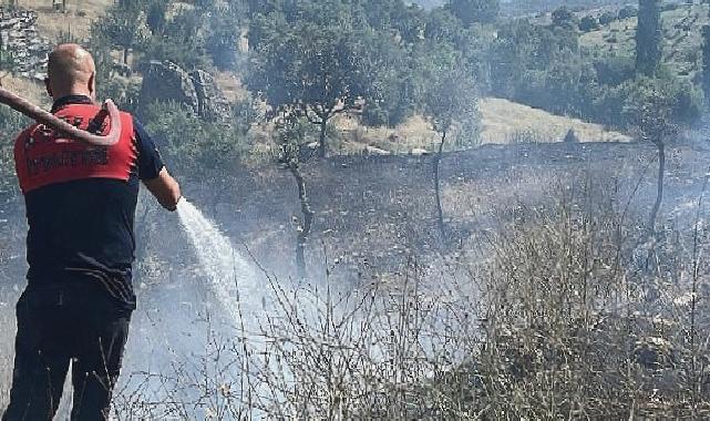 Koçarlı’daki yangın kontrol altına alındı