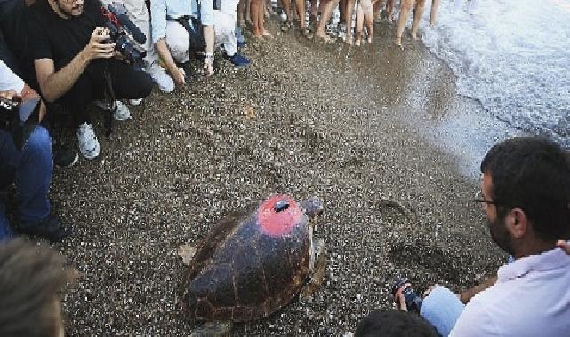 Lara Barut Collection’ın destekleri ile denizle buluşan Caretta Caretta, bir yılda 3000 km yol katetti