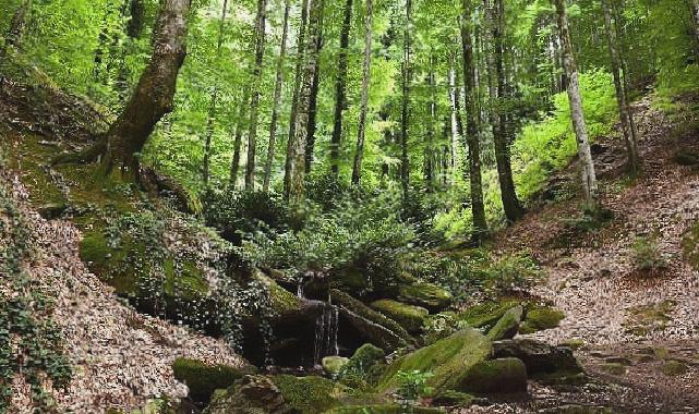 Suuçtu Şelalesi ziyaretçi akınına uğradı