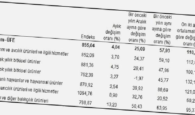 Tarım ürünleri üretici fiyat endeksi (Tarım-ÜFE) yıllık yüzde 57,93, aylık yüzde 4,04 arttı