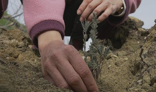 TOÇEV, Payam Ekolojik Badem Köyü Projesi’ne destek bekliyor