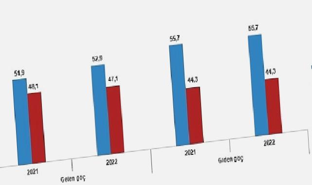 Yurt dışından Türkiye’ye 494 bin 52 kişi göç etti