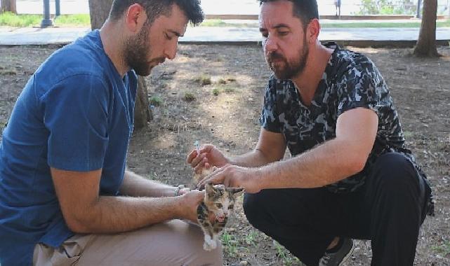 Antalya Büyükşehir can dostlarımızı hastalıklara karşı koruyor