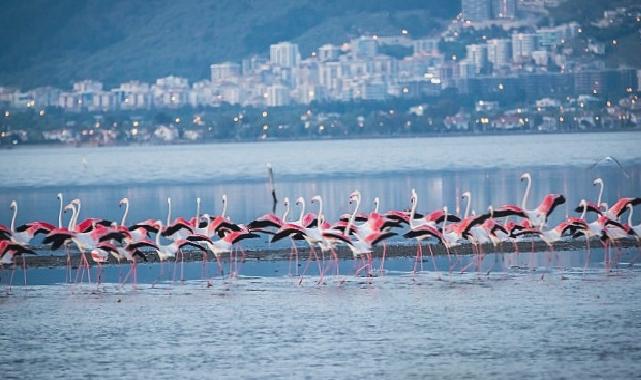 Arıtma lideri İzmir’in denizi de “mükemmel” çıktı