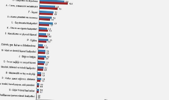 Bağımsız yıllık gayrisafi yurt içi hasıla 2022 yılında yüzde 5,5 arttı