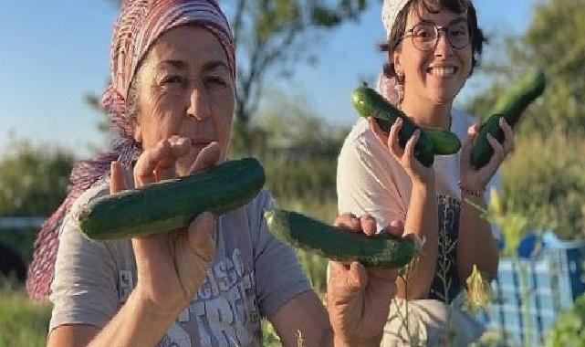 Buğday Derneği; Soframıza gelen zehirlerden 6’sı daha yasaklandı