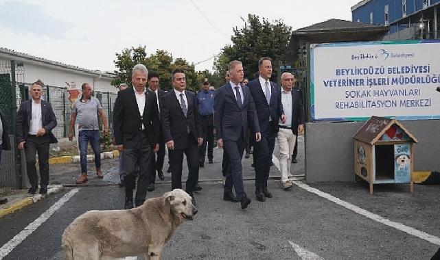 İstanbul Valisi Davut Gül Beylikdüzü’nde İncelemelerde Bulundu