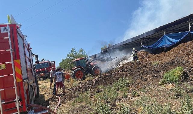 Muğla Büyükşehir Acil Müdahale Aracı ile Yangından Etkilenen Hayvanlara Müdahale