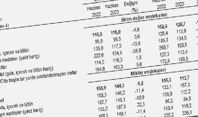 TÜİK: İhracat birim değer endeksi %1,6 azaldı