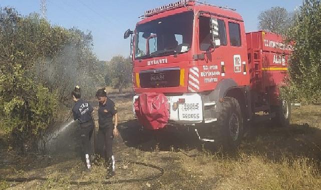 Aydın Büyükşehir Belediyesi İtfaiyesi’nden Umurlu’daki yangına müdahale