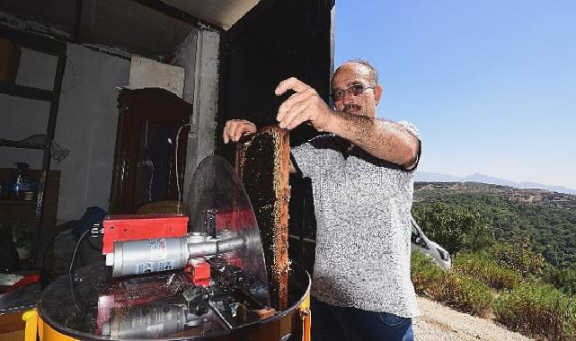 Bornovalı Arıcılarda Hasat Mutluluğu